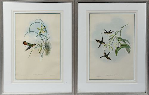 TWO GOULD & RICHTER 19TH C.
