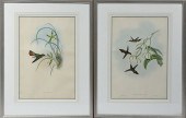 TWO GOULD & RICHTER 19TH C. LI
