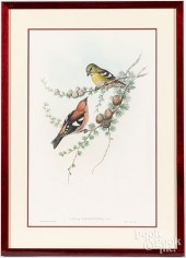 TWO GOULD & RICHTER COLOR LITH