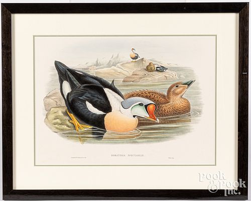 TWO GOULD & RICHTER COLOR