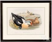 TWO GOULD & RICHTER COLOR LITH