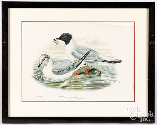 TWO GOULD & RICHTER COLOR