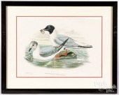 TWO GOULD & RICHTER COLOR LITH