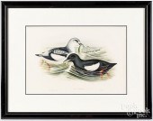 TWO GOULD & RICHTER COLOR LITH