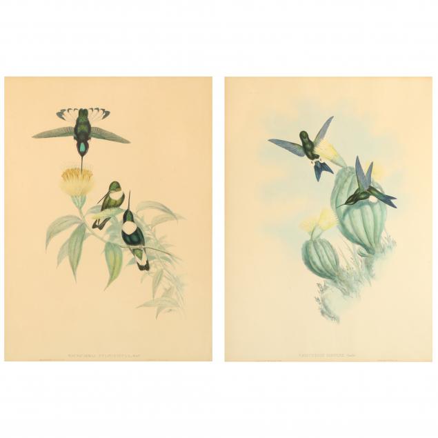 TWO GOULD & RICHTER HUMMINGBIRD