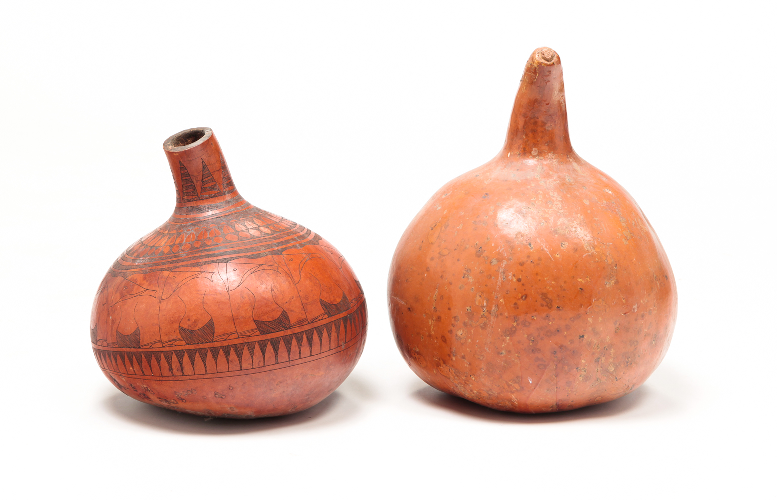 TWO GOURDS. One made into a