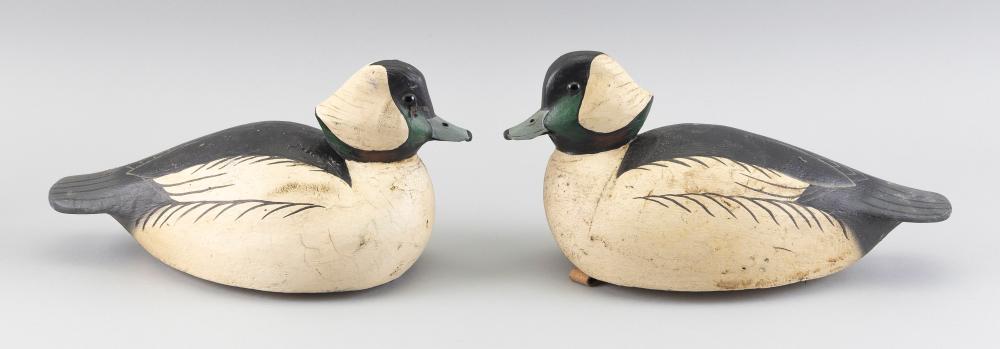 TWO GRAYSON CHESSER BUFFLEHEAD