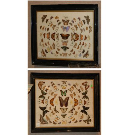 Two Groups of Framed Butterflies