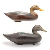 TWO HAVRE DE GRACE BLACK DUCKS