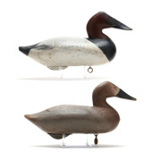 TWO HAVRE DE GRACE CANVASBACKS