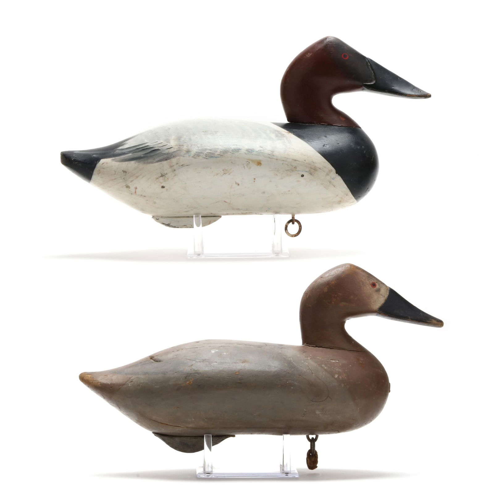 TWO HAVRE DE GRACE CANVASBACKSTwo