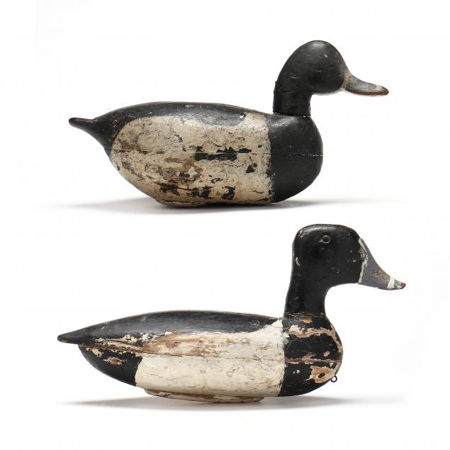 TWO ILLINOIS RIVER RING-NECKS Circa