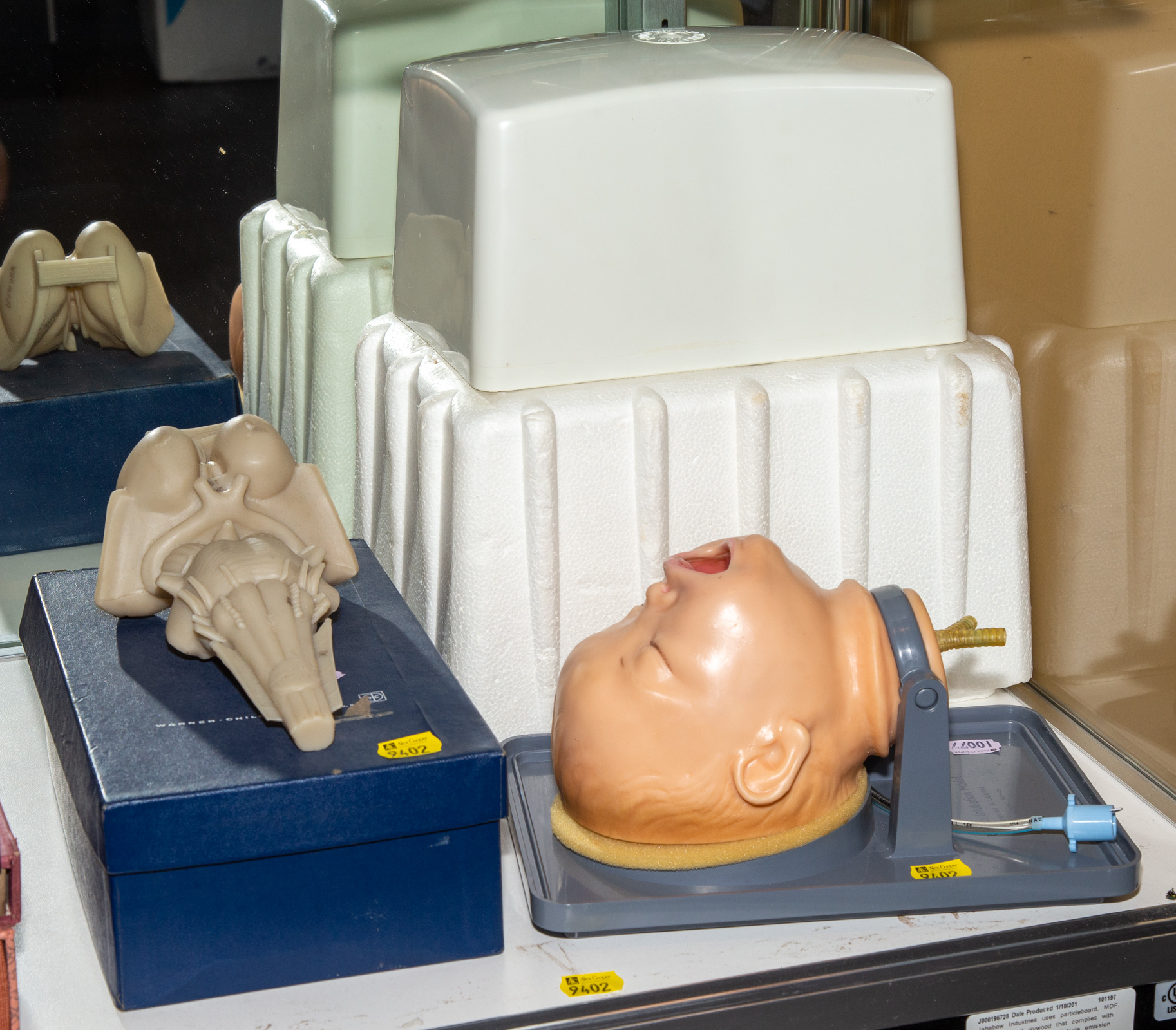 TWO INTERESTING MEDICAL ITEMS