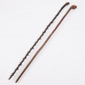 Two Irish Blackthorn Walking S