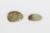 TWO JADE CARVINGSthe long-tail