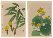 TWO JAPANESE BOTANICAL WOODBLO