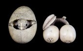 TWO JAPANESE IVORY NETSUKE bot