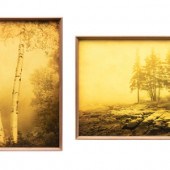 Two Joyce Tenneson Photographs