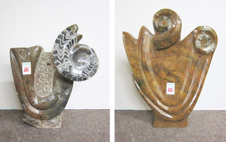 TWO JURASSIC AMMONITE FOSSILS on