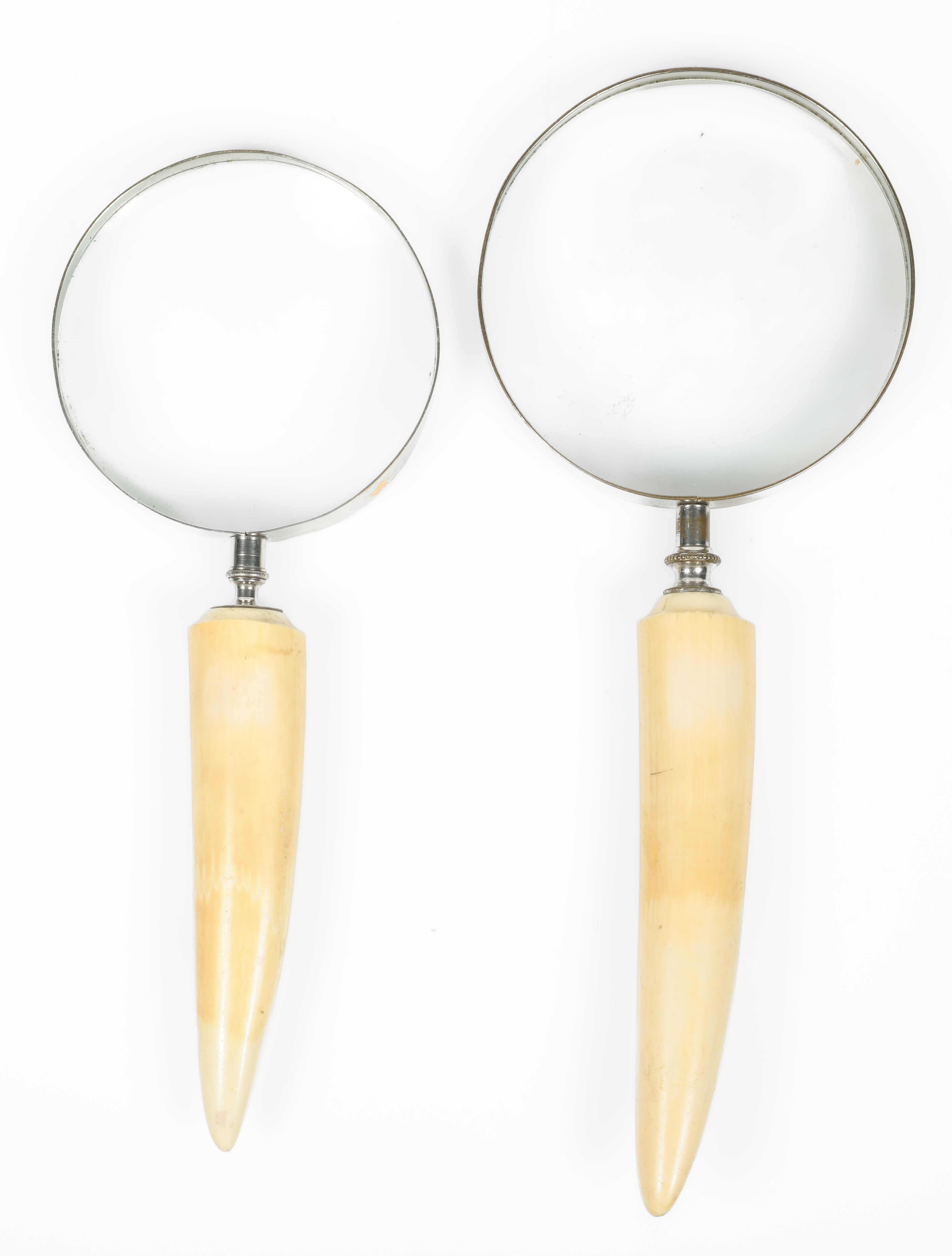 Two large bone- or