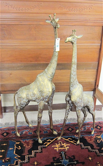 TWO LARGE CAST BRASS GIRAFFE 48 &
