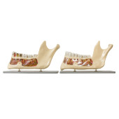 TWO LARGE LOWER JAW & TEETH MO