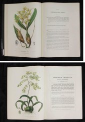 TWO LARGE ORCHID BOOKS, REPRIN