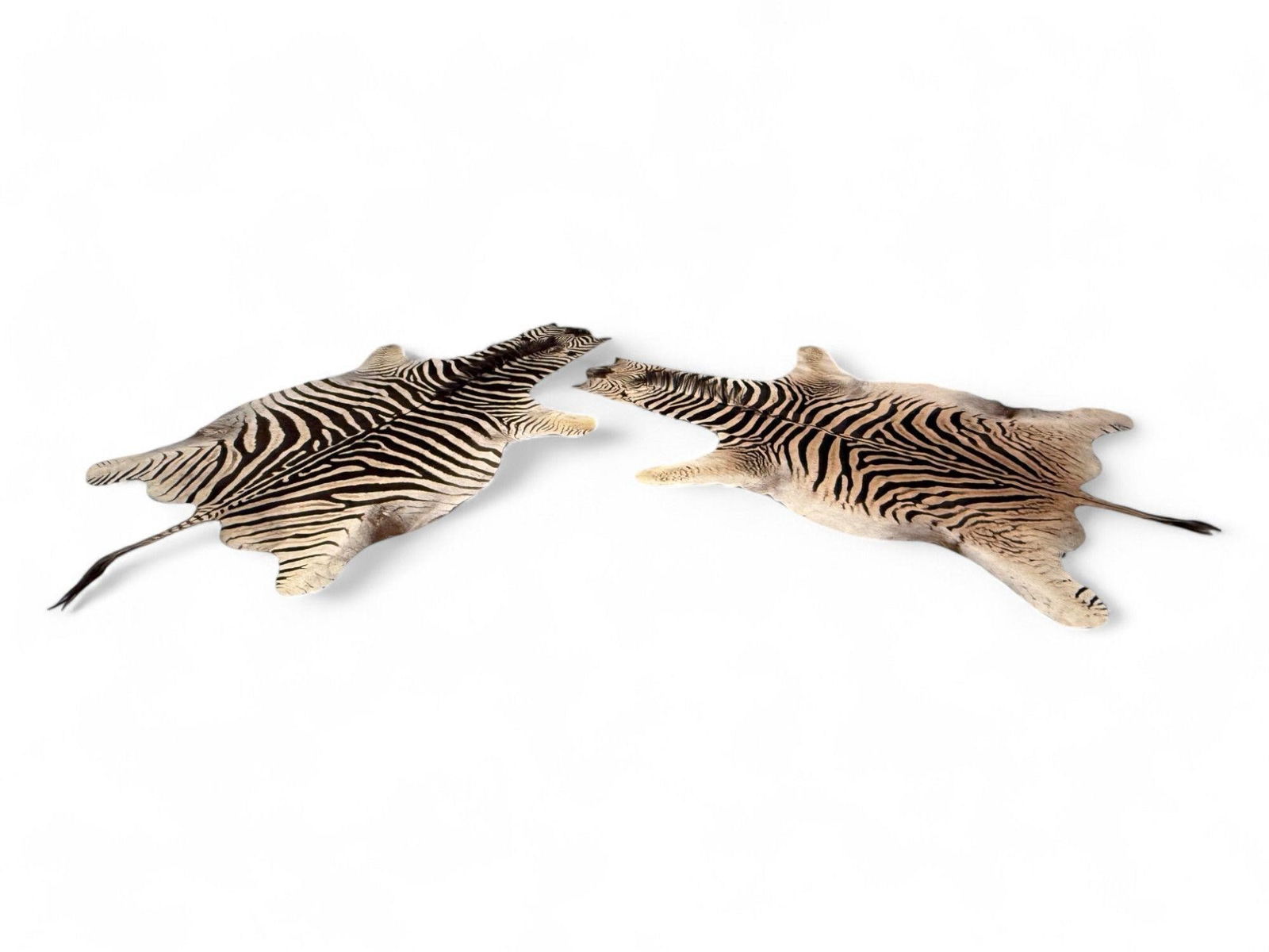 TWO LARGE ZEBRA HIDE AREA FLOOR