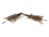 TWO LARGE ZEBRA HIDE AREA FLOO