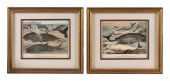 TWO LITHOGRAPHS OF MARINE MAMM