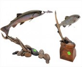 TWO LUNA HYMAS-SMITH CARVED FI