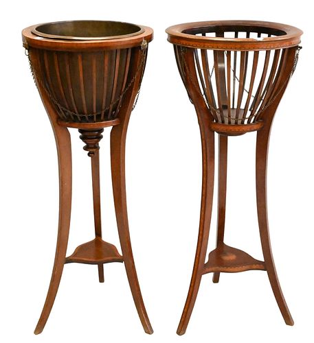 TWO MAHOGANY FERN OR PLANT