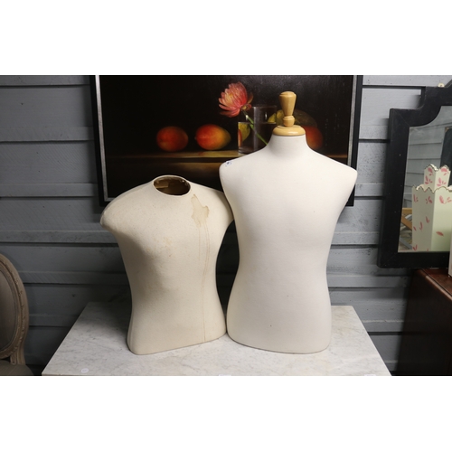 Two male mannequin torso's,