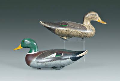 Two mallard duck decoys: drake with