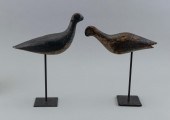 TWO MASSACHUSETTS YELLOWLEGS D