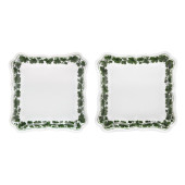 TWO MEISSEN  FULL GREEN VINE