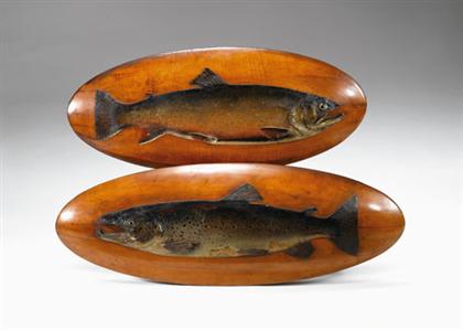 Two "mezzo" mounted fish    nash of