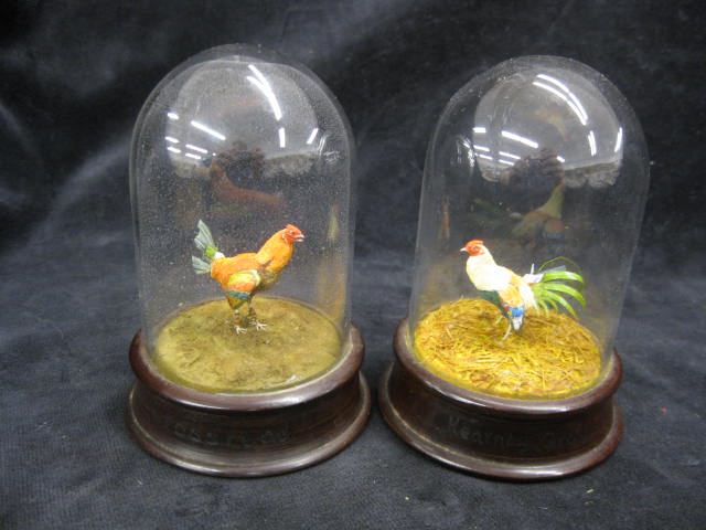 Two Minatures of Chickens