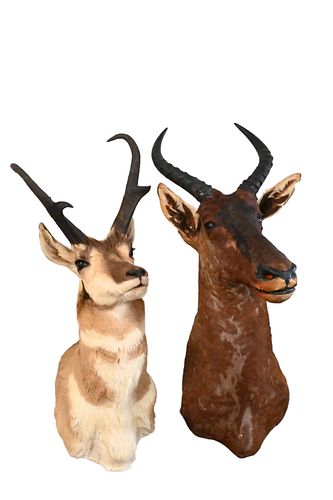 TWO MOUNTSTwo Mounts, one common