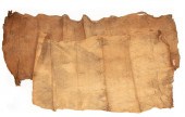 TWO NATIVE AMERICAN RUBBER TRE