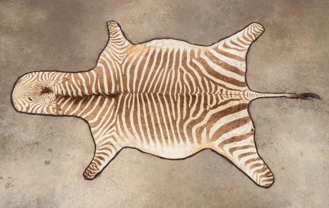 TWO NATURAL ZEBRA HIDE RUGS WITH