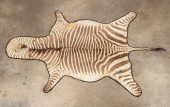 TWO NATURAL ZEBRA HIDE RUGS WI