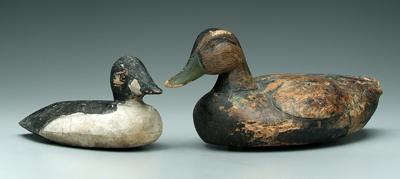 Two New England decoys: black