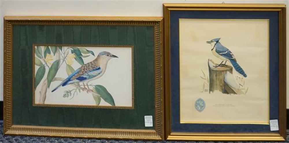 TWO ORNITHOLOGICAL COLOR PRINTS,