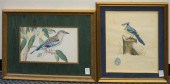 TWO ORNITHOLOGICAL COLOR PRINT