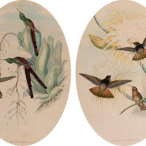 Two Ornithological Prints from