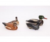 Two painted American Widgeon,