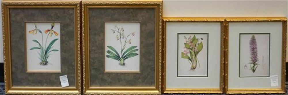 TWO PAIRS BOTANICAL PRINTS, LARGER: