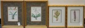 TWO PAIRS BOTANICAL PRINTS, LA