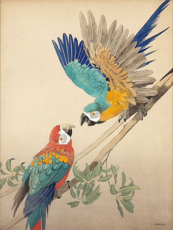 Two parrots on a branch